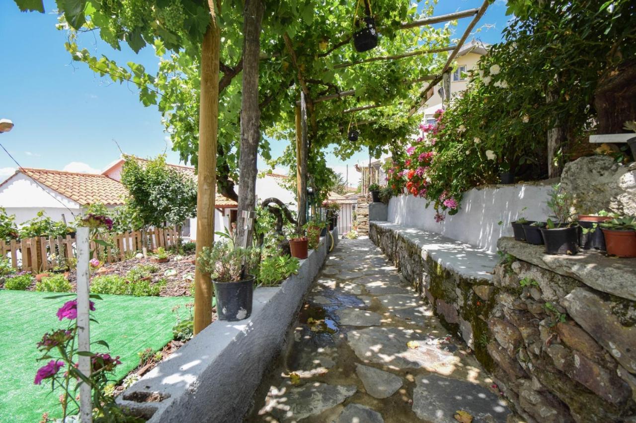 Casinha Da Deolinda Villa Aldeia das Dez Ngoại thất bức ảnh