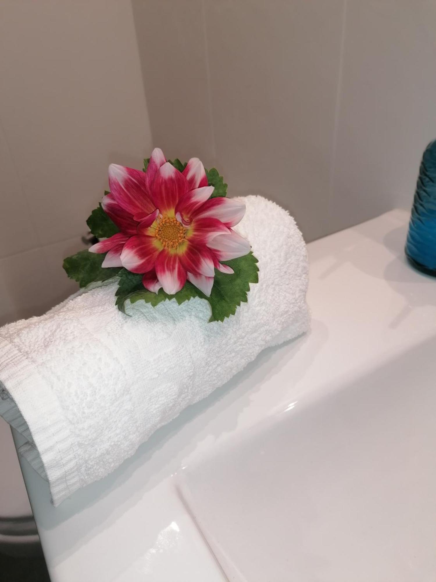 Casinha Da Deolinda Villa Aldeia das Dez Ngoại thất bức ảnh